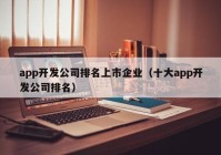 app开发公司排名上市企业（十大app开发公司排名）