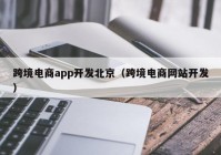 跨境电商app开发北京（跨境电商网站开发）
