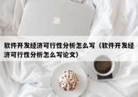 软件开发经济可行性分析怎么写（软件开发经济可行性分析怎么写论文）