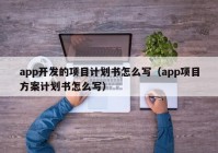 app开发的项目计划书怎么写（app项目方案计划书怎么写）