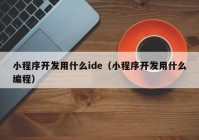 小程序开发用什么ide（小程序开发用什么编程）