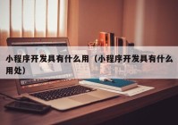 小程序开发具有什么用（小程序开发具有什么用处）