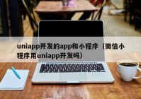 uniapp开发的app和小程序（微信小程序用uniapp开发吗）