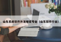 山东系统软件开发哪家专业（山东软件行业）