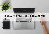 贵港app开发技术公司（贵阳app软件开发）
