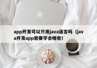 app开发可以只用java语言吗（java开发app需要学会哪些）
