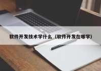 软件开发技术学什么（软件开发在哪学）