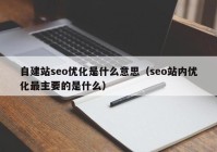 自建站seo优化是什么意思（seo站内优化最主要的是什么）