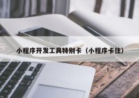 小程序开发工具特别卡（小程序卡住）