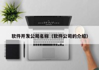 软件开发公司名称（软件公司的介绍）