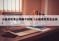 小程序开发公司哪个好呀（小程序开发怎么样）