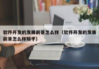 软件开发的发展前景怎么样（软件开发的发展前景怎么样知乎）