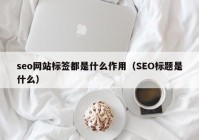 seo网站标签都是什么作用（SEO标题是什么）