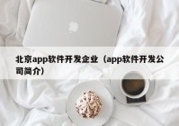 北京app软件开发企业（app软件开发公司简介）