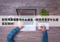 软件开发需要学什么语言（软件开发学什么语言比较好）