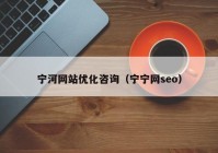宁河网站优化咨询（宁宁网seo）