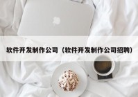 软件开发制作公司（软件开发制作公司招聘）