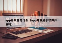 app开发都是什么（app开发属于软件开发吗）