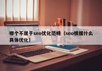 哪个不属于seo优化范畴（seo根据什么具体优化）