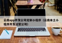 云南app开发公司定制小程序（云南本土小程序开发运营公司）