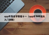 app开发自学教程十一（app开发教程从入门到精）