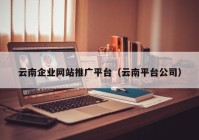 云南企业网站推广平台（云南平台公司）