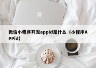 微信小程序开发appid是什么（小程序APPid）