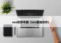 seo软件中国（seo是啥软件）