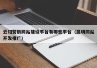 云阳营销网站建设平台有哪些平台（昆明网站开发推广）