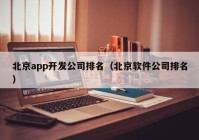 北京app开发公司排名（北京软件公司排名）
