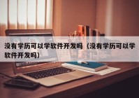 没有学历可以学软件开发吗（没有学历可以学软件开发吗）