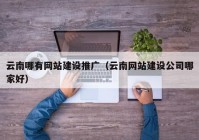 云南哪有网站建设推广（云南网站建设公司哪家好）