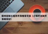 赣州定制小程序开发哪家可靠（小程序定制开发哪家好）