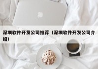 深圳软件开发公司推荐（深圳软件开发公司介绍）