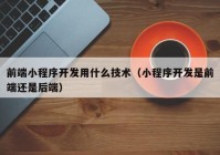 前端小程序开发用什么技术（小程序开发是前端还是后端）