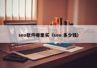 seo软件哪里买（seo 多少钱）