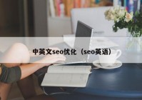中英文seo优化（seo英语）