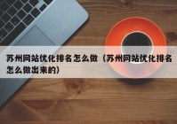 苏州网站优化排名怎么做（苏州网站优化排名怎么做出来的）