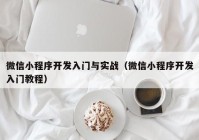 微信小程序开发入门与实战（微信小程序开发入门教程）