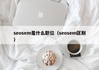 seosem是什么职位（seosem区别）